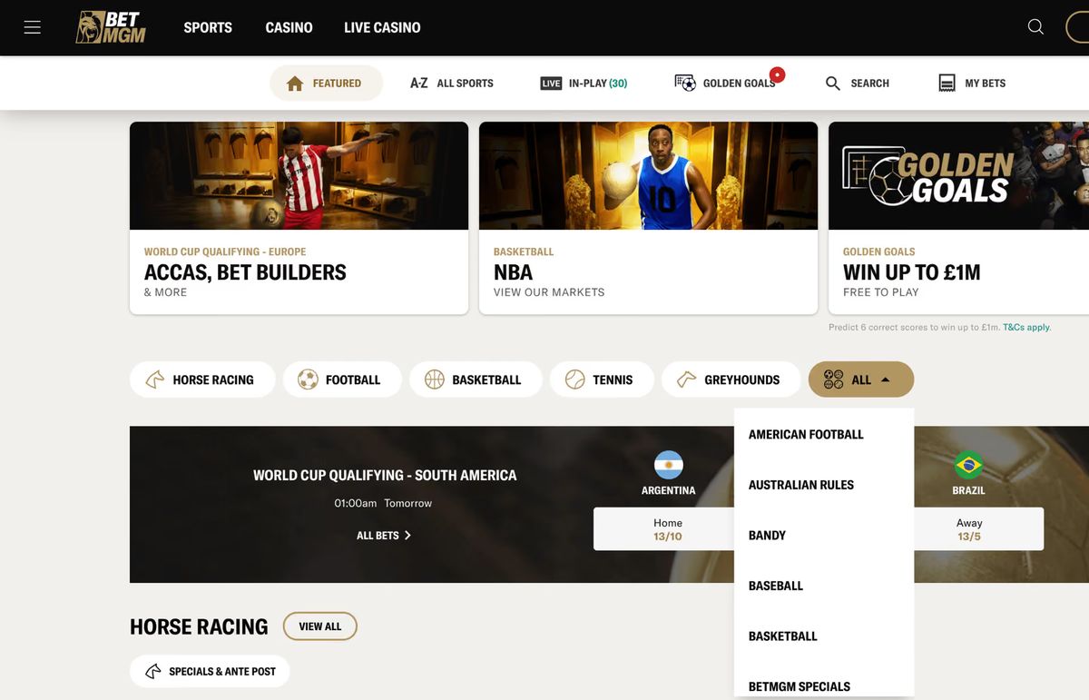 BetMGM Casino: screenshot of the casino site