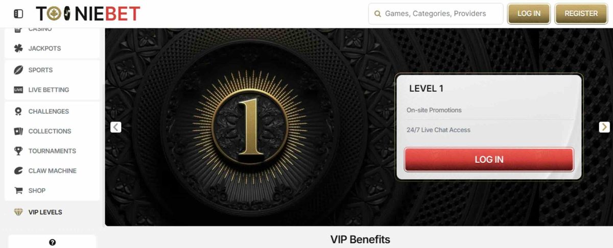 TooniBet: screenshot of the casino site