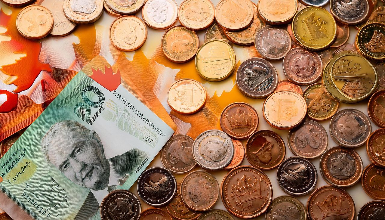 Competition Bureau to seek grocery pricing information next week