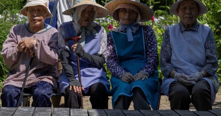 Japan surpasses 100,000 centenarians for first time as population ages rapidly