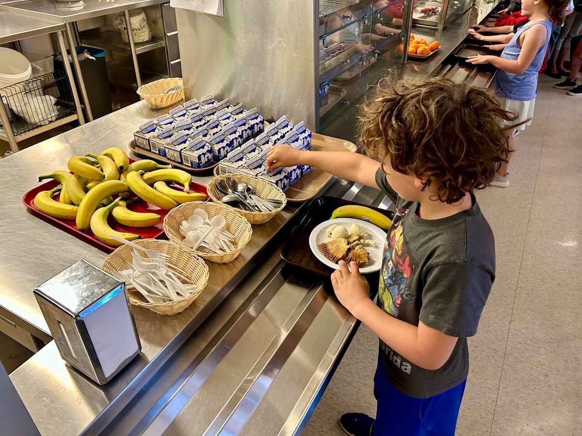 New Brunswick's universal school lunch program launches with 80% of schools operational, some delays remain