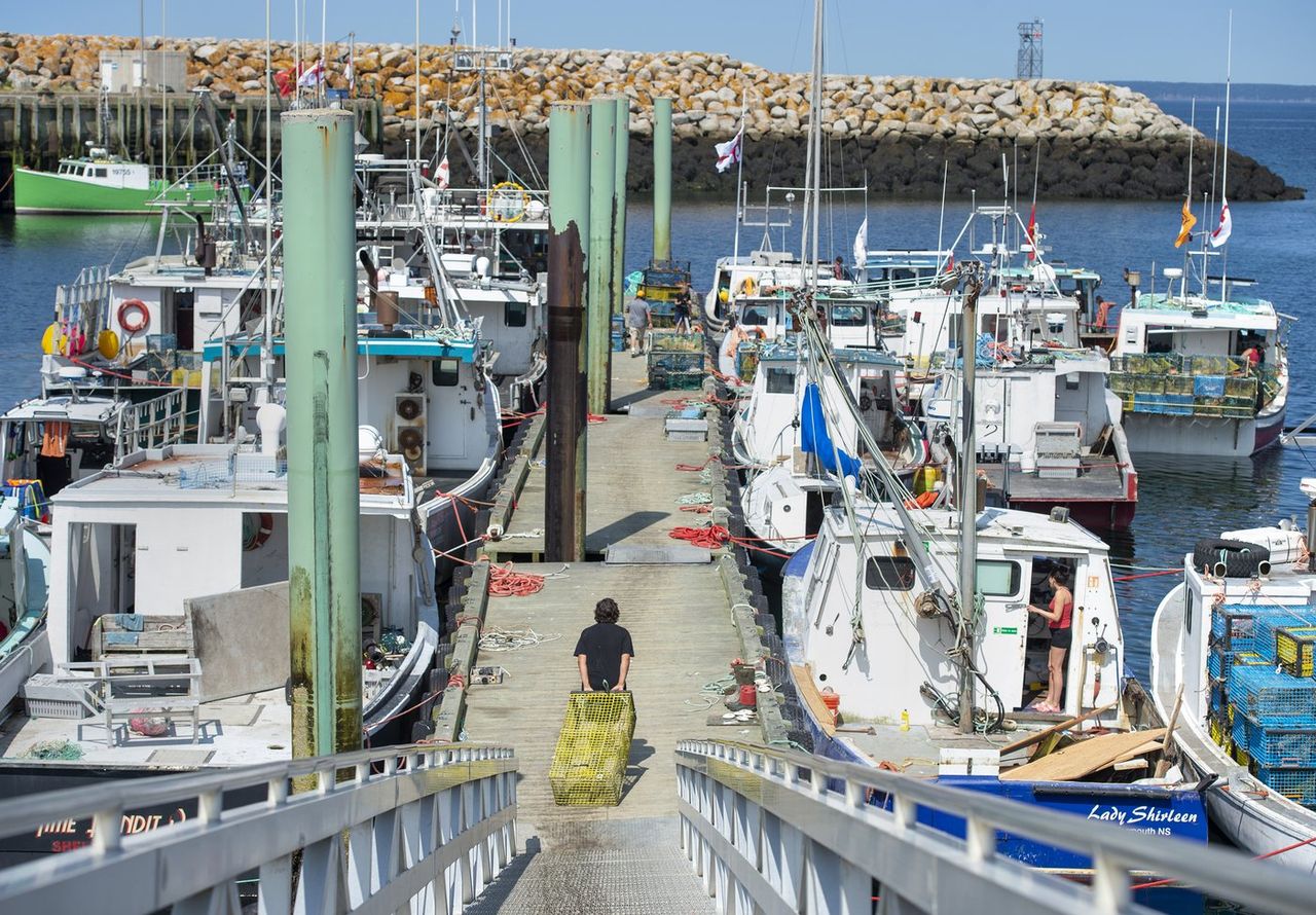 Nova Scotia seafood processor demands specifics in $10M lobster lawsuit appeal