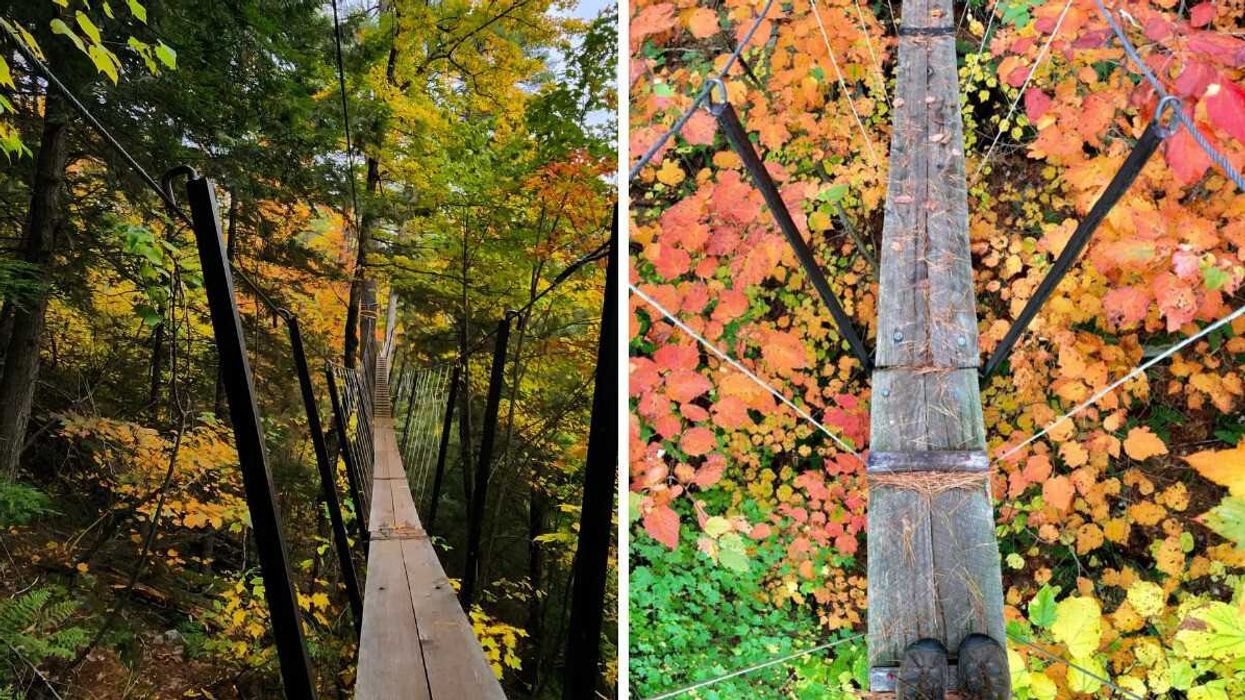 Ontario's Haliburton Forest Offers a Breathtaking Canopy Walk Among Fall Colours
