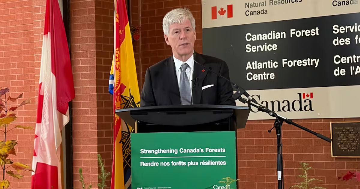 Ottawa to spend $50 million on digital forestry centre for New Brunswick