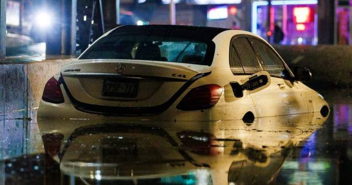 Toronto residents face insurance hurdles amid backlog of storm damage claims