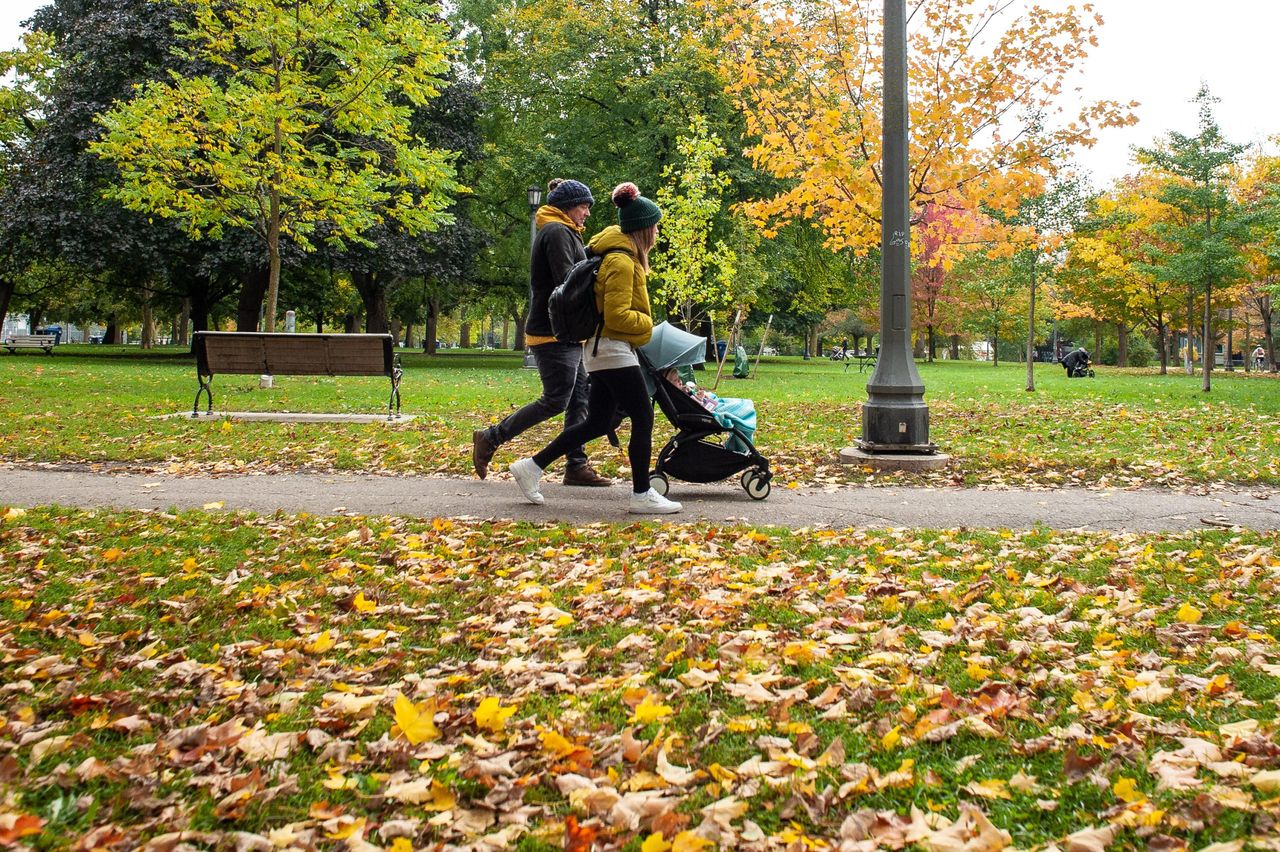 Warmer, drier fall forecast for most of Canada with potential long-term impacts