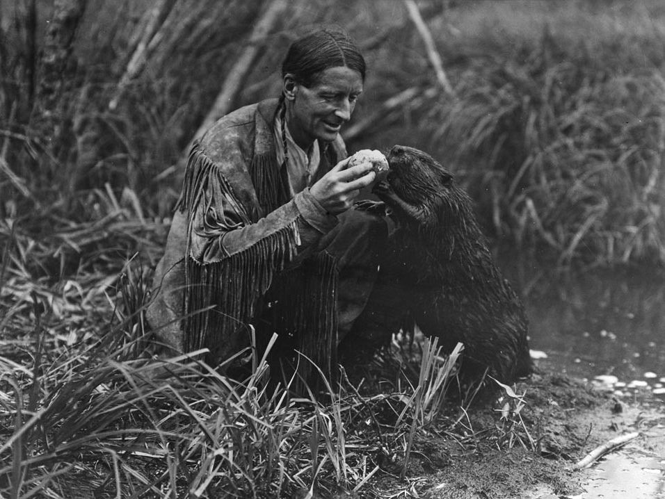 Title / Titre : Grey Owl feeding a beaver a jelly roll / Grey Owl donnant un roulé à la gelée Creator(s) / Créateur(s) : Unknown / Inconnu D