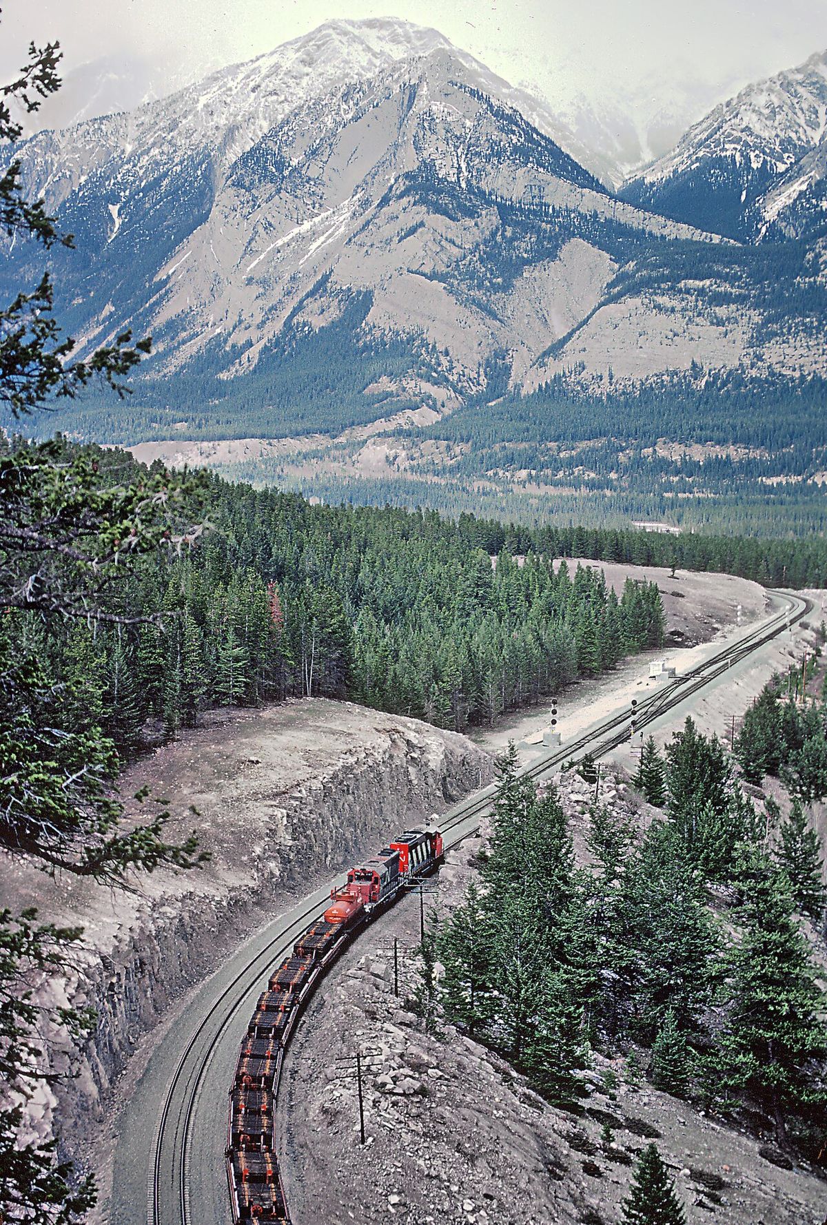 8. CN the crossovers at English which is east of Jasper, Alberta (Roger would have gone a serious hike to get this vantage point) May 1982 B