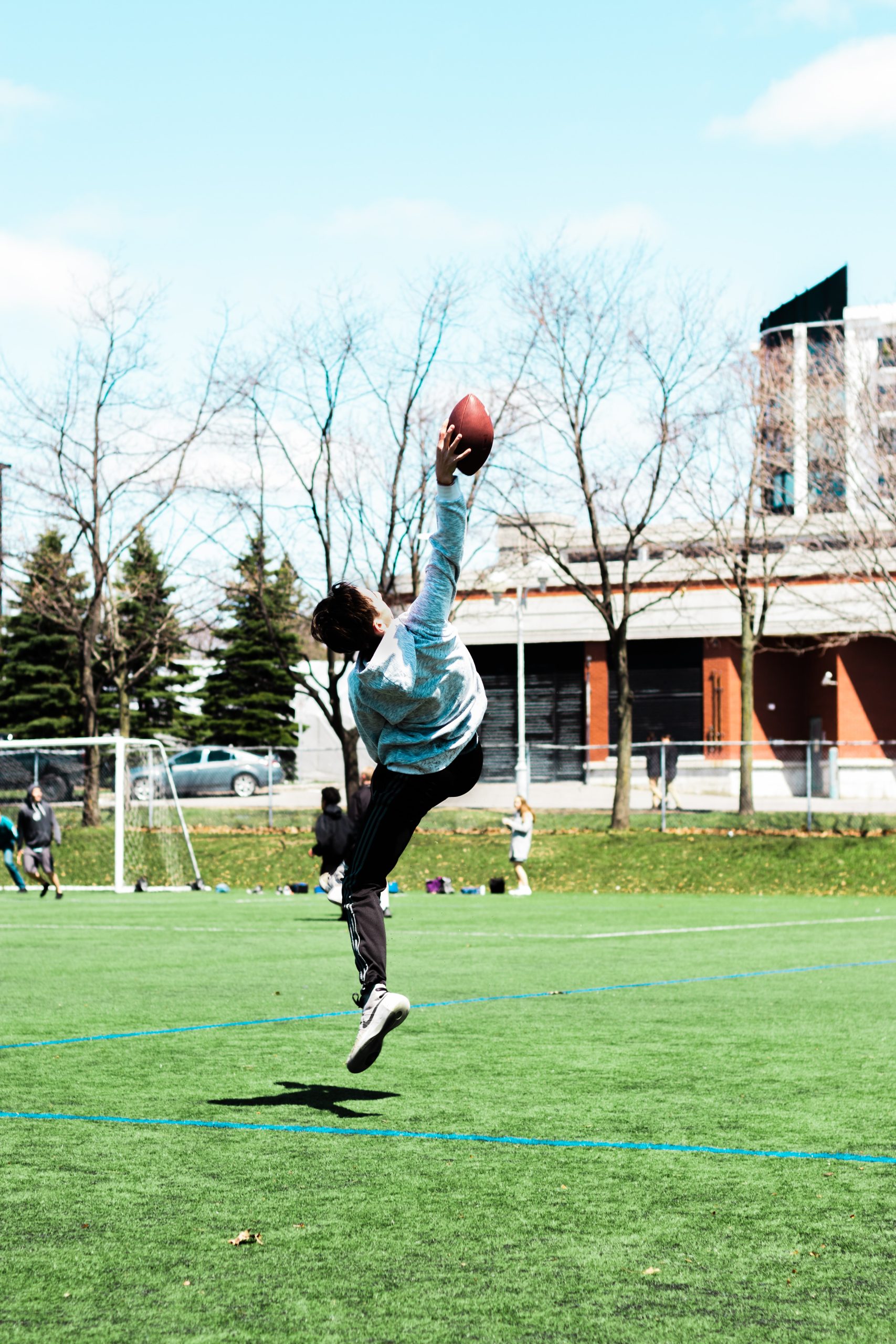 The High-School Lawn