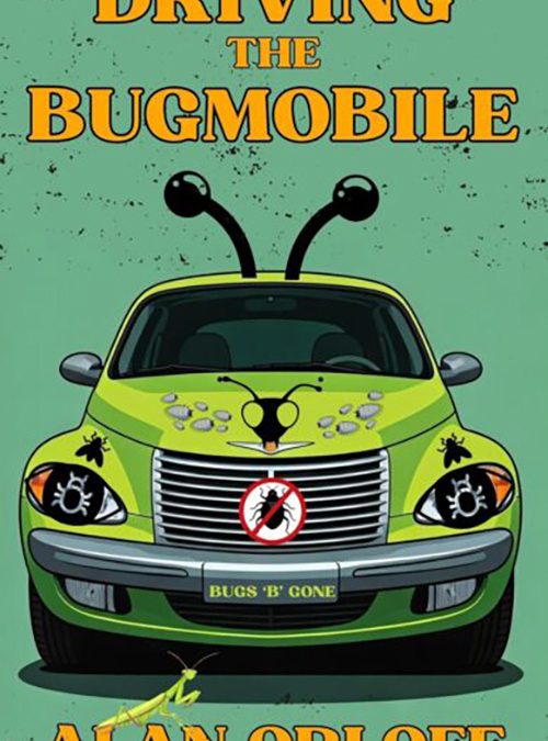 Driving the Bugmobile